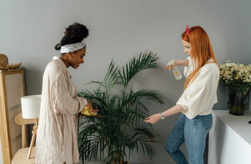 czysczenie rośliny